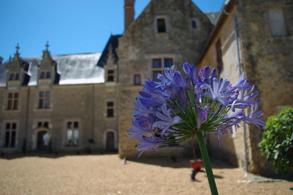TufféChateau De Cheronne住宿加早餐旅馆 外观 照片